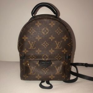 Louis Vuitton Mini Palm Spring Backpack